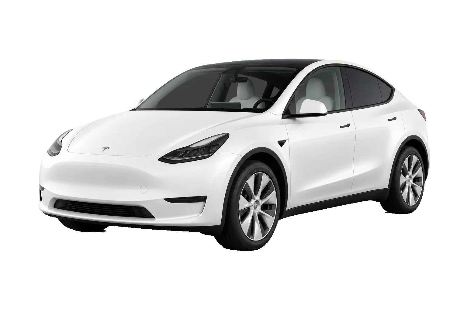 테슬라 Model Y